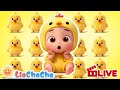 Baby And The Little Chicks Learn Numbers 1 To 5 Toddler Songs Preschool Learning LiaChaCha 