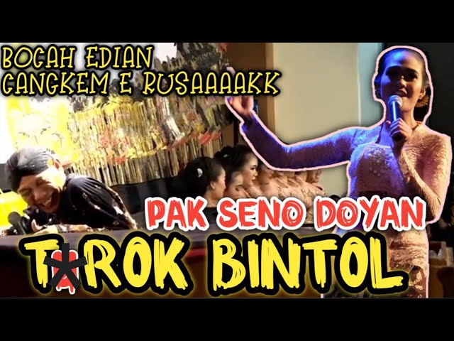 Pak seno doyan t*rok bintol‼️Elisha latian itungan jowo limolikor wkwk class=