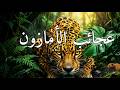 الأمازون كما لم تره من قبل رحلة في عالم الكائنات الأسطورية وثائقي 4K 