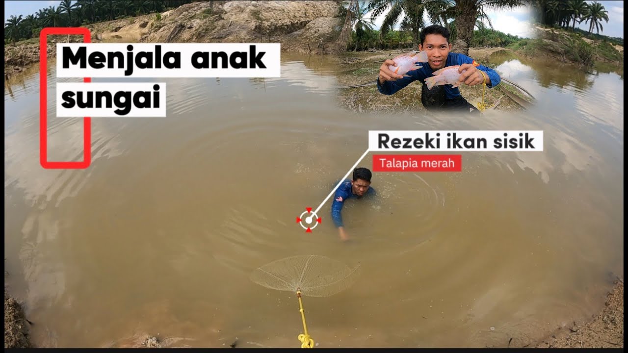 Menjala dekat anak sungai rezeki ‼️Target ikan sisik