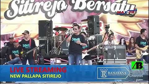 New pallapa Terbaru