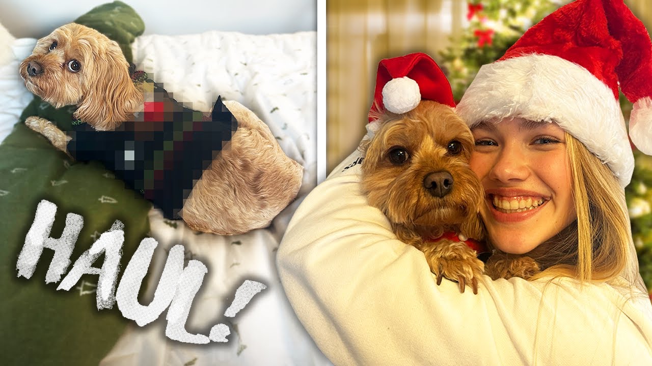 DOG CHRISTMAS FASHION HAUL VLOGMAS YouTube