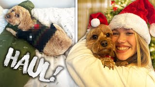 DOG CHRISTMAS FASHION HAUL | VLOGMAS