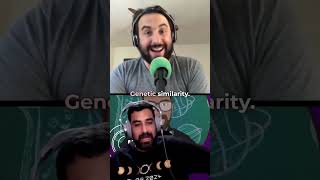 We Didn't Come From (Modern) Monkeys!