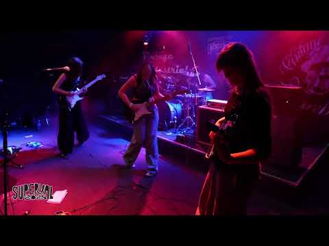 Prijavi se na Superval!