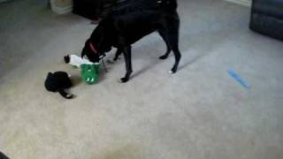MVI_7507.AVI
