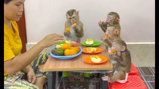 4 Siblings Sit Eating Fruity Dessert Treat Together Very Juicy & Mouth Watering ,