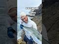 NEUSEELAND FISCH GUIDE🎣🔥 #angeln #zander #hecht #barsch #forellen #fishing #fish #reisen #wels