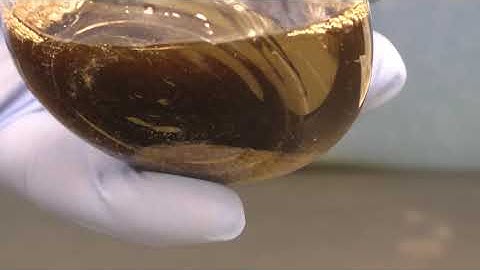 Synthesis of Acetaminophen (Tylenol) Experiment S21