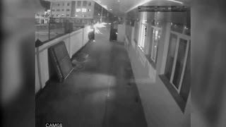Ликвидация боевиков в Доме печати в Грозном попала на видео. Россия новости. Ликвидация боевиков в Доме печати в Грозном попала на видео. Россия новости.