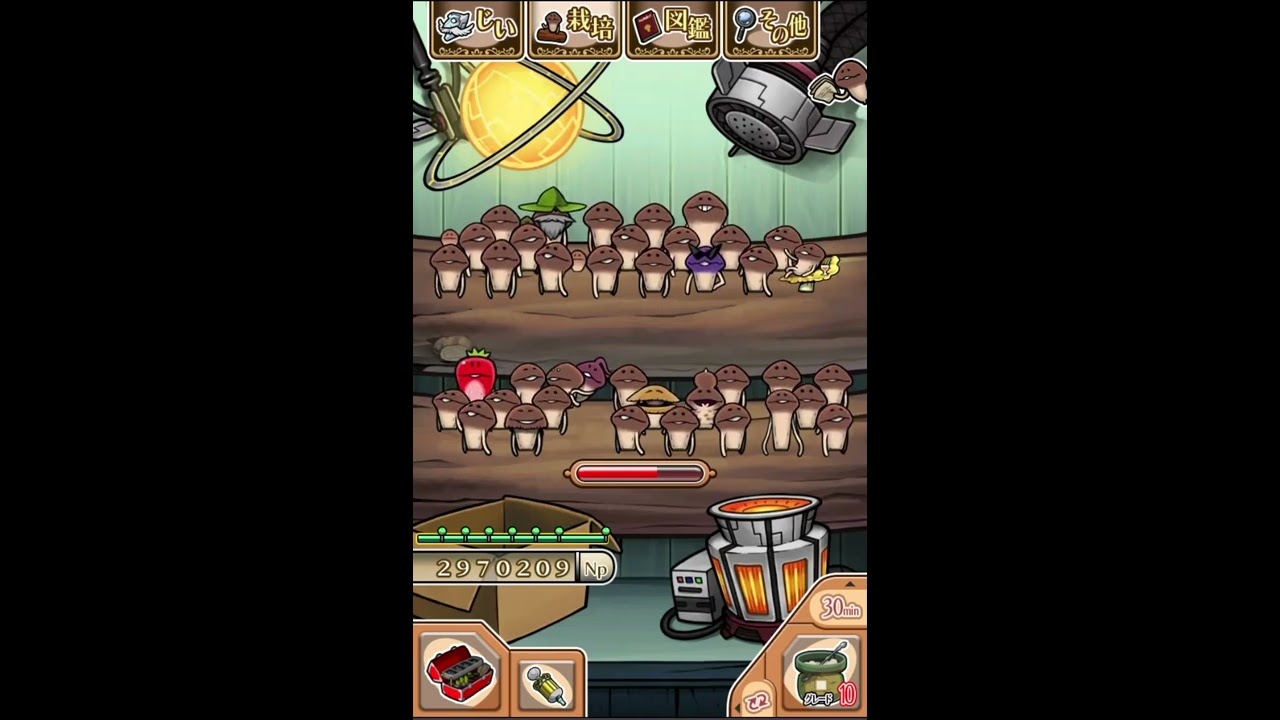 【作業用bgm】 いつもの栽培室　【NEOなめこ栽培キット】