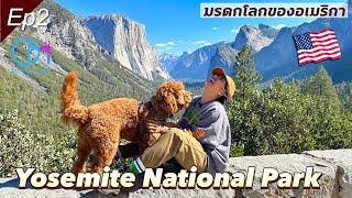 Yosemite มีดีอะไร? ตำนานอเมริกาที่ถูกกล่าวขานไปทั่วโลก Ep2 #มอสลา | Yosemite National Park, CA