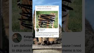 Can you guess this animal challenge #meme #funny