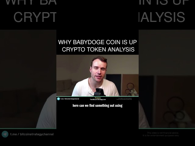 Why BabyDoge Coin is up 🤩 Crypto Token Analysis class=
