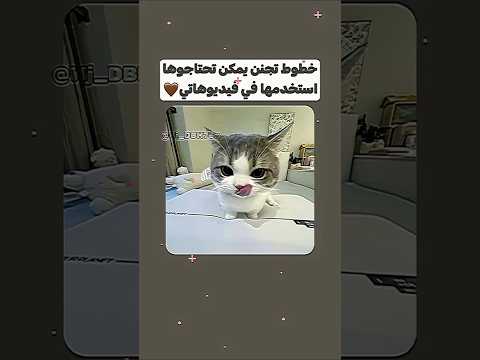 اسماء خطوط عربية تجنن نصائح وجدان   