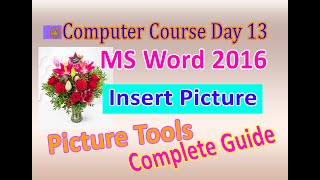 Insert Picture in Word | Picture tools format tab complete guide | Insert Picture in Word 2016