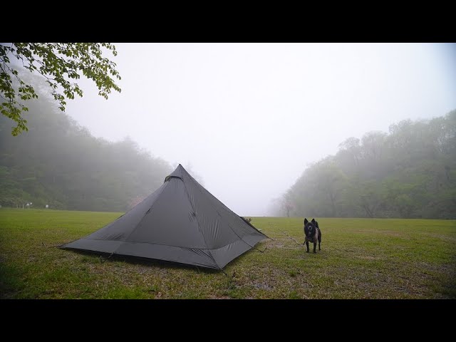 Lightweight and compact ThousWinds tent Solo camping with my dog