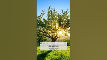 📖| سورة إبراهيم             🎙| القارئ ريان المحيسني #اكسبلور #explore #قرآن #galleryislamic1 #اسلام