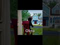 Pre-Alpha Man#helloneighbor #helloneighborgame