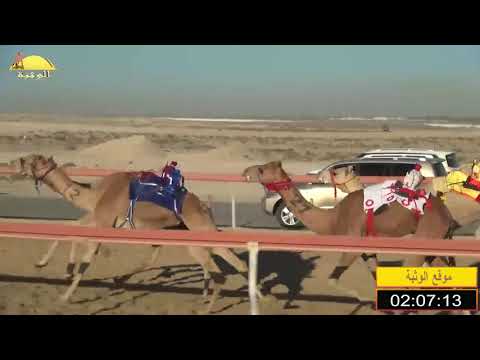 الشوط 7 احتفال ل محمد سعيد عبيد المزروعي 4 33 شارة الاتحاد 2020 10 15 سمحه حقايق