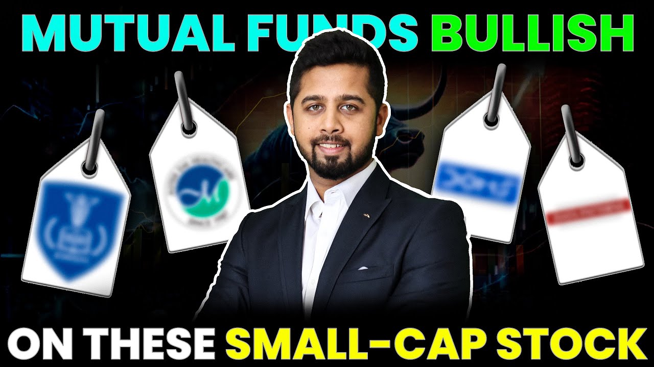 Smallcap stock added by India's top mutual fund houses!