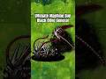Ultimate Machine Gun Black Olive General #pvzfusion #mobilegame #pvzgame #plantsvszombies