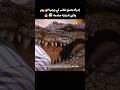 رجل يجد زوجته داخل تمساح قصص Movie اكسبلور 