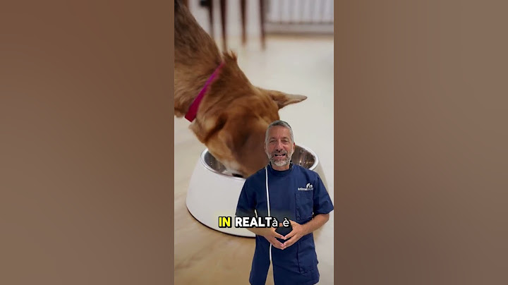 Perchè devi lavare la ciotola del tuo cane/gatto? #veterinario #cane #gatto