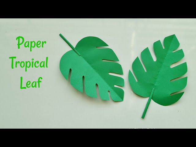 Paper Tropical Leaf, How To Make Tropical Leaf