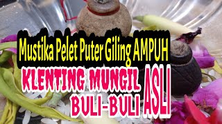 Klenting Mungil Buli-buli Asli / Mustika Pelet Pengasihan Puter Giling AMPUH