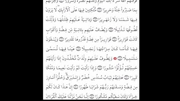 سورة الإنسان - الشيخ علي الحذيفي