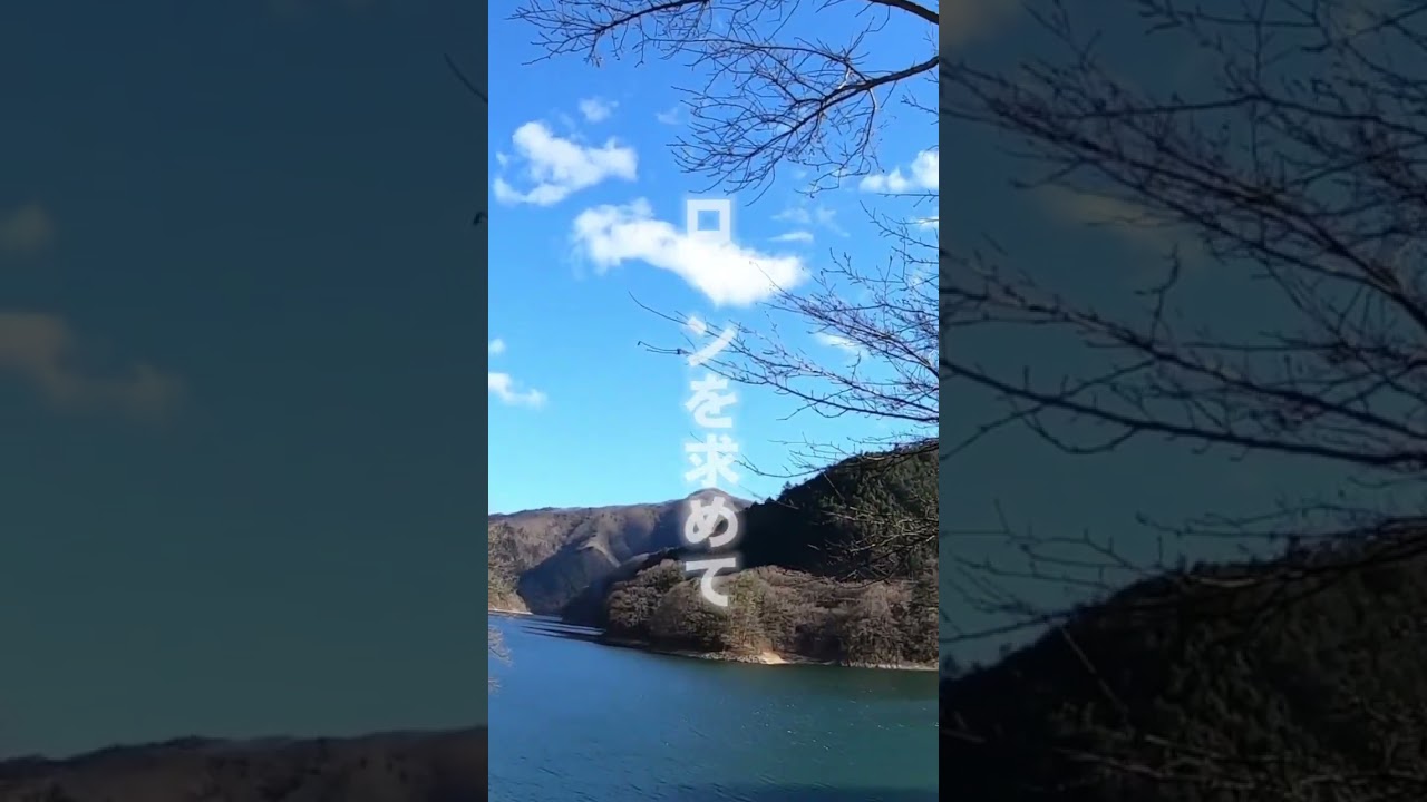 Fishing carp to Lake Okutama