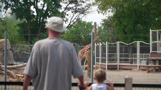 Denver Zoo expands cooling measures amid prolonged summer heat