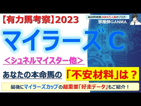 【マイラーズカップ2023 有力馬考察】シュネルマイスター＆ジャスティンスカイ他 人気馬5頭を徹底考察！