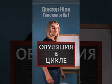 Овуляция в цикле