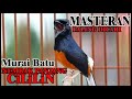 SUARA TEMBAKAN MASTERAN BURUNG MURAI BATU FUL CILILIN!! BAHAYA!!!