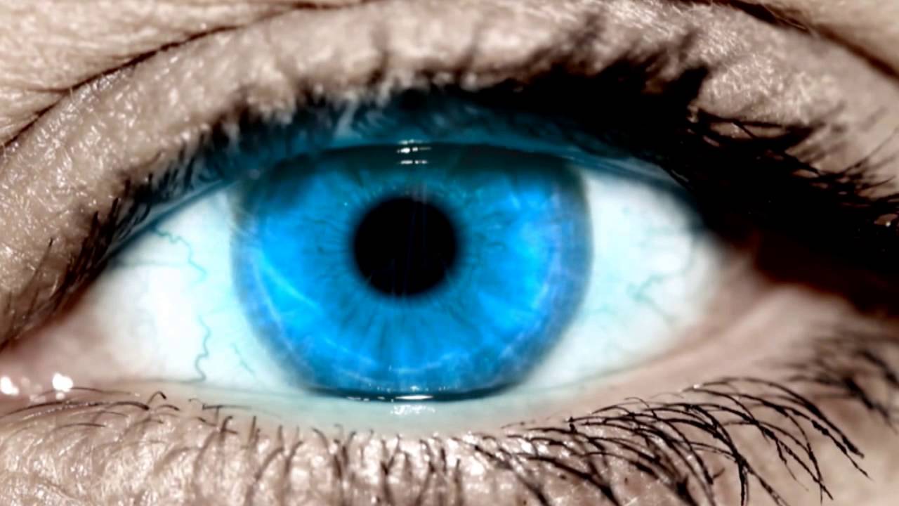 Salt Lake City Car Accident Attorney * 801-649-4433 * After Hours Lawyer