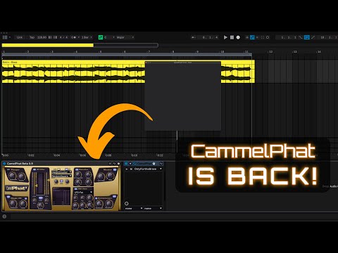 CamelPhat Wrapper v 1.1 (VST & AU) — product preview