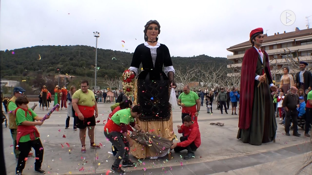 Puig-reig, Fira de Sant Martí 2024. Trobada de Gegants