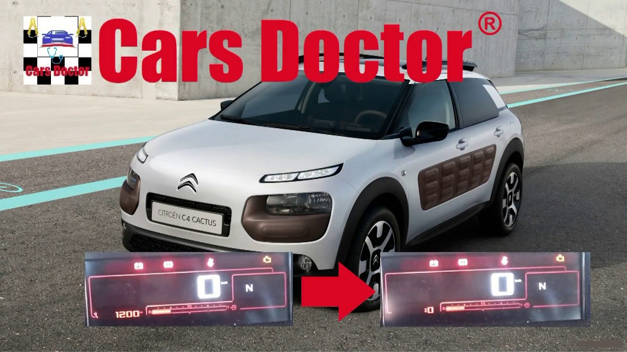 Reseteo servicio C4 Cactus