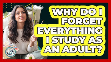 Why Do I Forget Everything I Study As An Adult? - Learn As An Adult