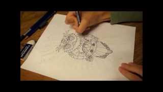 Coloring Pages for Adults - Owl