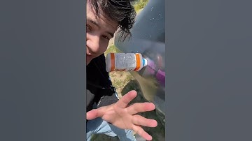 How To REMOVE Dents From Your Car!! #shorts