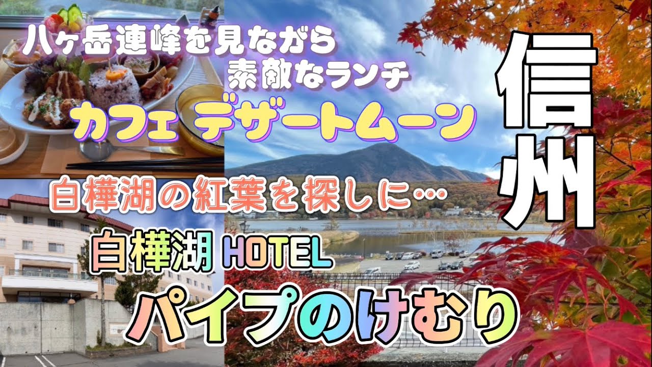 【白樺湖ホテルパイプのけむり】 茅野でおすすめランチのお店『デザートムーン』を紹介！『信州白樺湖』１０月末の紅葉はまだ美しく残っていた！