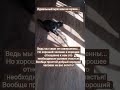 Как поздно мы понимаем, что с простым, а не с крутым мужем мы были бы счастливы....❤️ с добрым ❤️🍓