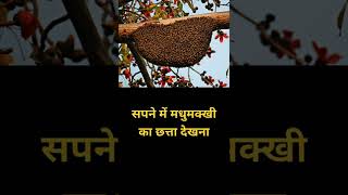 सपने में मधुमक्खी का छत्ता देखना | sapne me madhumakkhi ka chhatta dekhna | #shorts | #shortsvideo