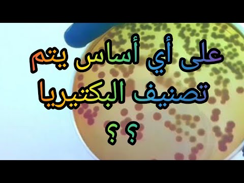 هكذا يتم تصنيف البكتيريا 