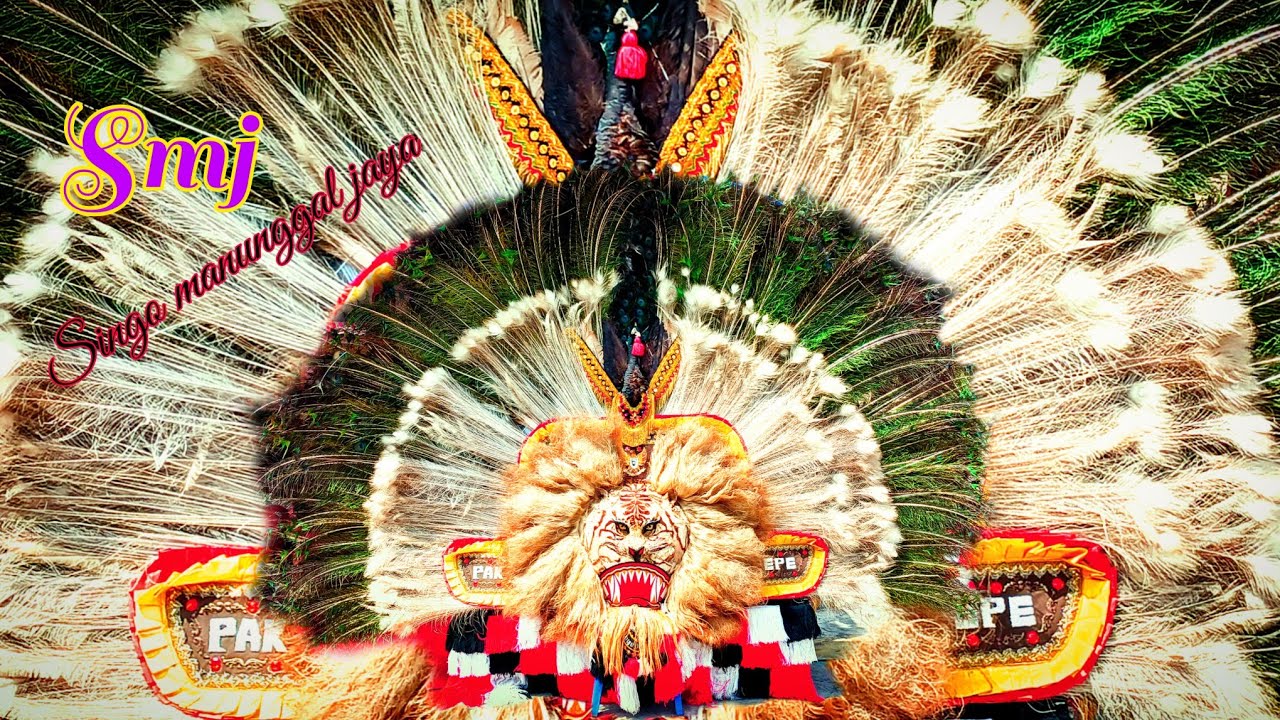 Solae4 dadak merak Singo manunggal jaya part2/live balai desa kalipepe/dalam rangka 17 agustus ke 80