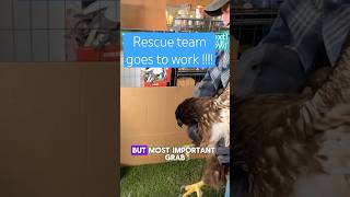 Saving Liberty.  The Rescue Rehab Team In Action