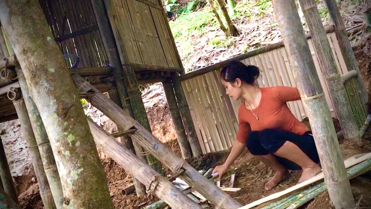 The Asian girl who survived returns to visit the bamboo house in the foreste